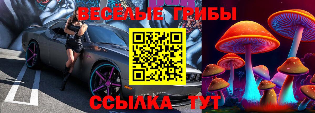 Псилоцибиновые грибы мицелий Каспийск